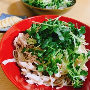 ＊ささみとかいわれのぶっかけ蕎麦＊